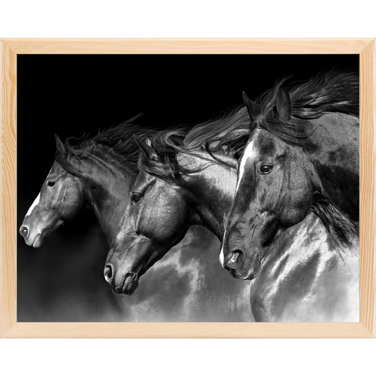 Poster, konie, 40x50 cm Art-Canvas