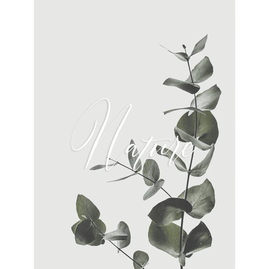 Poster, rośliny, 30x40 cm Art-Canvas