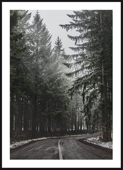 Poster Story, Plakat, Droga wśród Drzew, wymiary 30 x 42 cm posterstory.pl