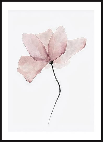 Poster Story, Plakat, Różowa Magnolia w Akwareli, wymiary 30 x 42 cm posterstory.pl