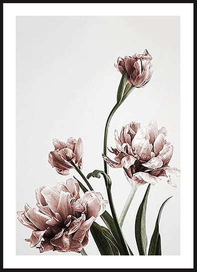 Poster Story, Plakat, Różowe Tulipany, wymiary 50 x 70 cm posterstory.pl