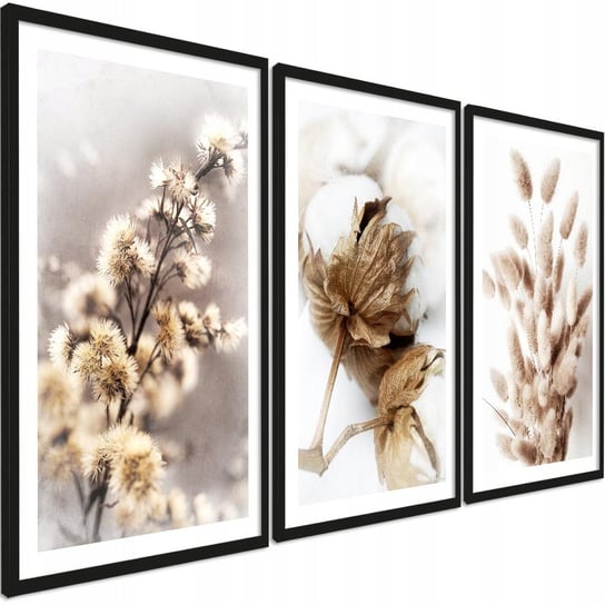 PosterPlanet 3 szt Foto-Obrazy BOHO Zdjęcia Beżowe Trawy + ramka 45/65 cm PosterPlanet