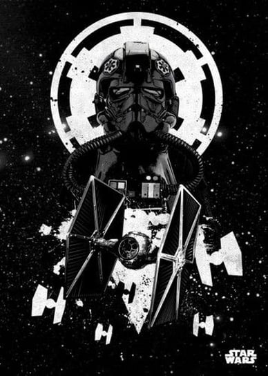 Posterplate, plakat Tie Fighter Pilot - Star Wars Pilots Posterplate Global