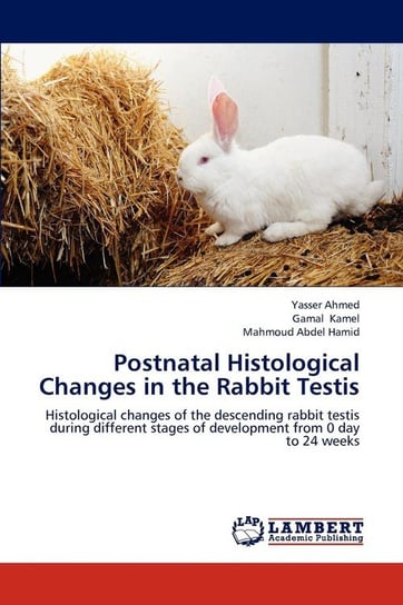 Postnatal Histological Changes in the Rabbit Testis Ahmed Yasser