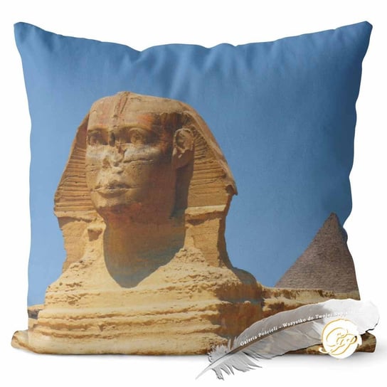 Poszewka 3D bawełna satyna 40x40cm EGIPT Galeria Pościeli