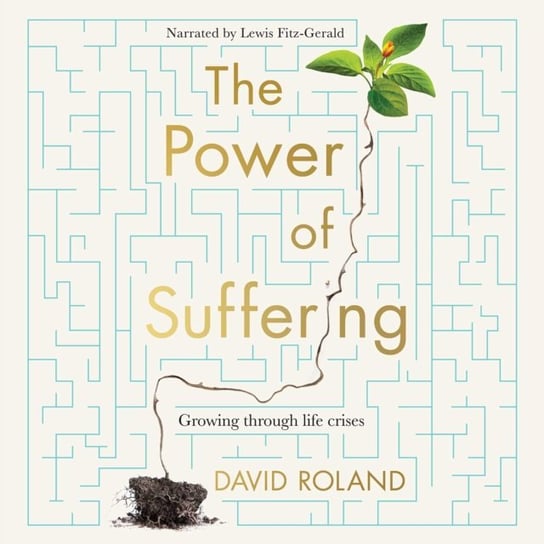 Power Of Suffering Roland David