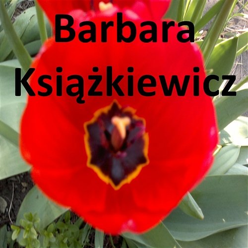 Powiedz Mi Mamo (Radio Edit) Barbara Książkiewicz