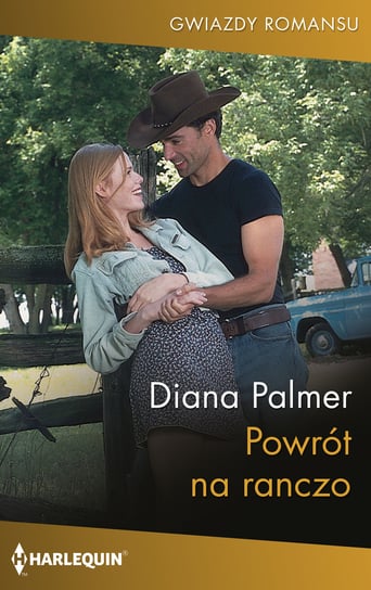 Powrót na ranczo Palmer Diana