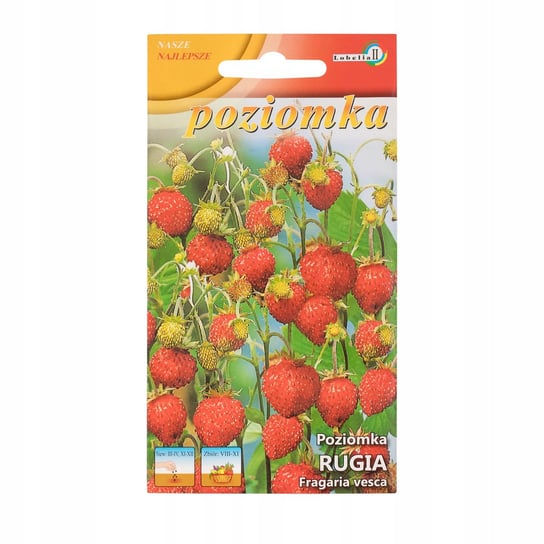 Poziomka Rugia nasiona 0,2 g p. 9-0051-68901-01 Inna marka