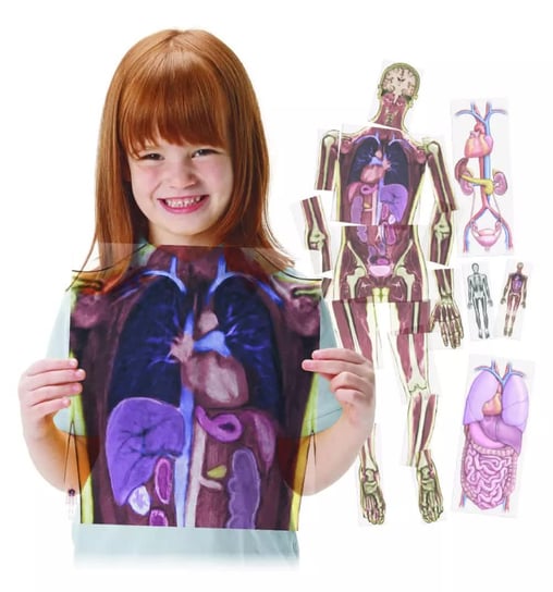 Poznaję swoje ciało - rezonans magnetyczny, nauka anatomii człowieka Rolf Education