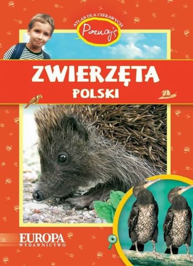 Poznaję zwierzęta Polski. Atlas dla ciekawych Kokurewicz Dorota