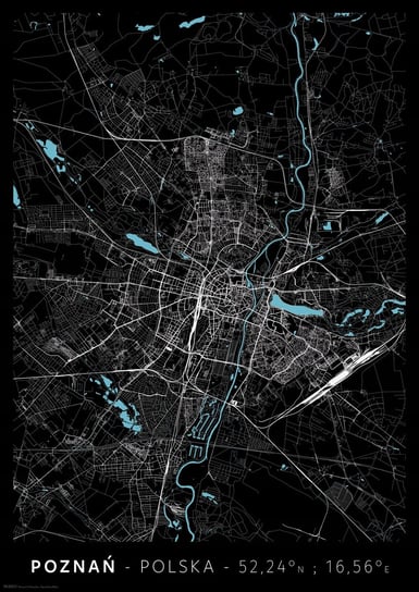 Poznań Mapa Miasta - plakat A3 29,7x42 cm inna (Inny)