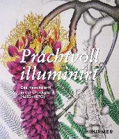 Prachtvoll illuminirt Hirmer Verlag Gmbh