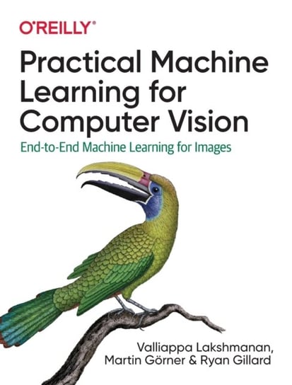 Practical Machine Learning for Computer Vision: End-to-End Machine Learning for Images Opracowanie zbiorowe