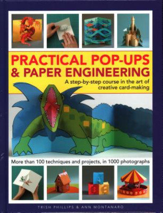 Practical Pop-Ups and Paper Engineering: A Step-By-Step Course in the Art of Creative Card-Making, More Than 100 Techniques and Projects, in 1000 Phot Phillips Trish, Montanaro Ann
