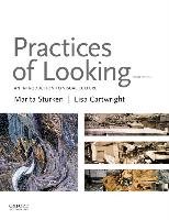 Practices of Looking: An Introduction to Visual Culture Sturken Marita, Cartwright Lisa