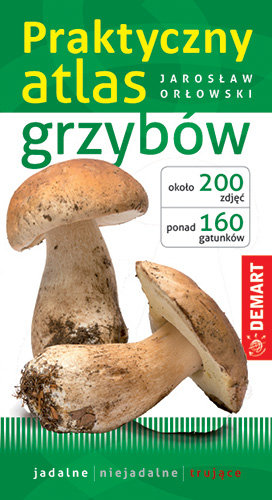 Praktyczny atlas grzybów Orłowski Jarosław