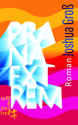 Prana Extrem Matthes & Seitz Berlin