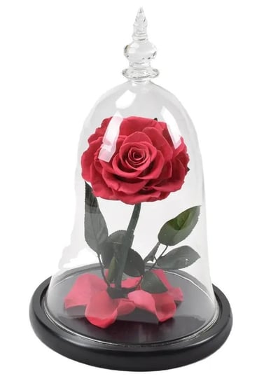Prawdziwa Czerwona Róża W Szklanej Kopule Inna marka