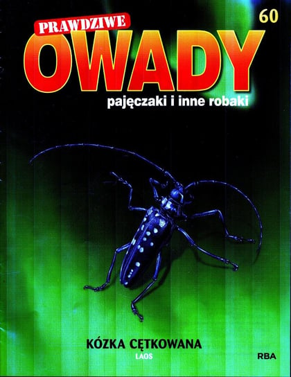 Prawdziwe Owady Pajęczaki i Inne Robaki Nr 60 Burda Media Polska Sp. z o.o.