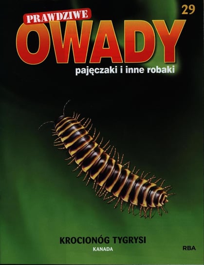 Prawdziwe Owady Pajęczaki i Inne Robaki Reedycja Hachette Polska Sp. z o.o.