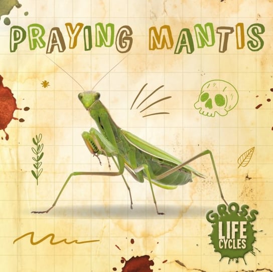 Praying Mantis William Anthony