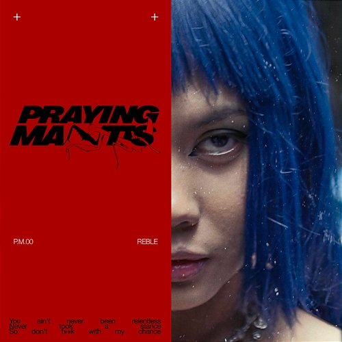 Praying Mantis Reble