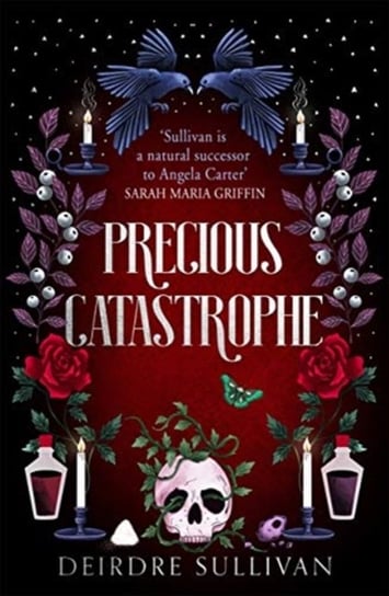 Precious Catastrophe (Perfectly Preventable Deaths 2) Sullivan Deirdre