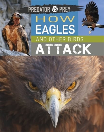 Predator vs Prey: How Eagles and other Birds Attack Harris Tim
