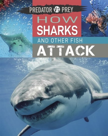 Predator vs Prey: How Sharks and other Fish Attack Harris Tim