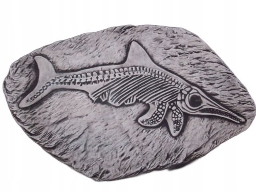 Prehistoryczna ryba odciśnięta w kamieniu!! Inna marka