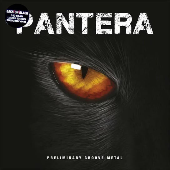 Preliminary Groove Metal Pantera