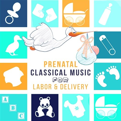 Prenatal Classical Music for Labor & Delivery - Stress Relief and Quieten, Relaxation for Pregnant Women, Mozart, Brahms for Mothers and Babies Johann Hula, Rosa Aldrovandi