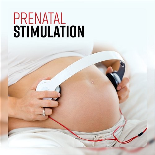 Prenatal Stimulation: Shape Your Unborn Baby, Womb Communication, Early Child Development, Relaxing Pregnancy Calm Pregnancy Music Academy