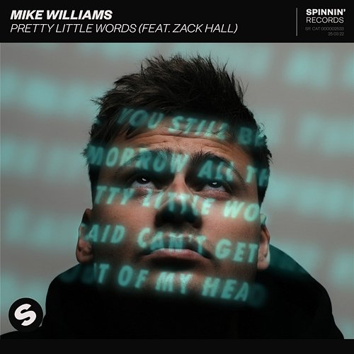 Pretty Little Words Mike Williams feat. Zack Hall