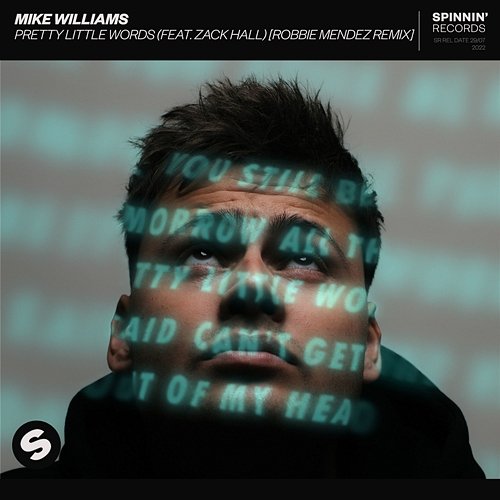 Pretty Little Words Mike Williams feat. Zack Hall