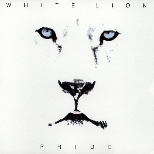 Pride White Lion