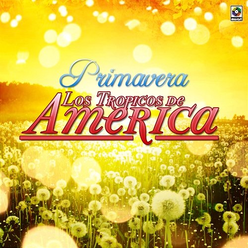 Primavera Los Trópicos de América