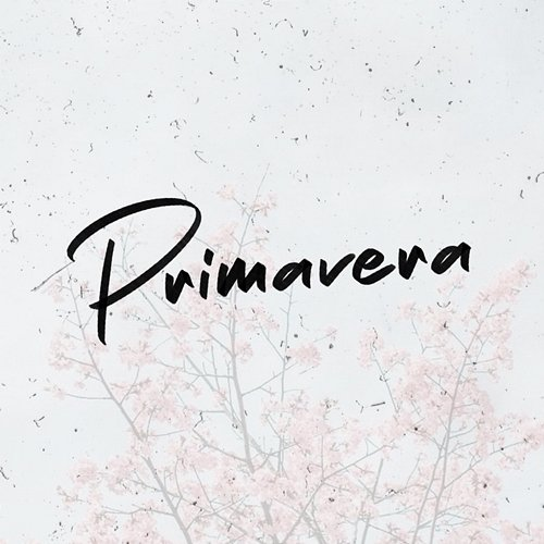 Primavera Twelve