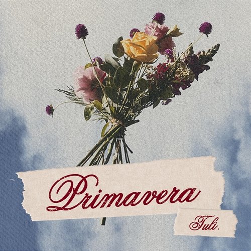 Primavera Tuli