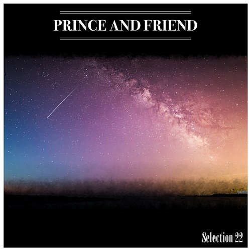 Prince And Friend Selection 22 Various Artists