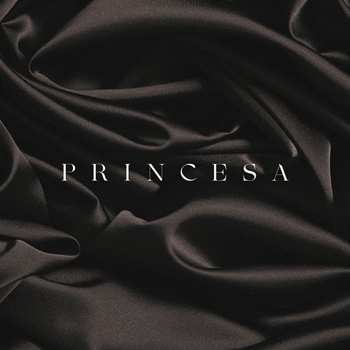 Princesa Fondo Flamenco