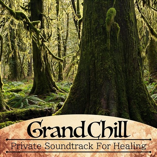 Private Soundtrack for Healing Grand Chill