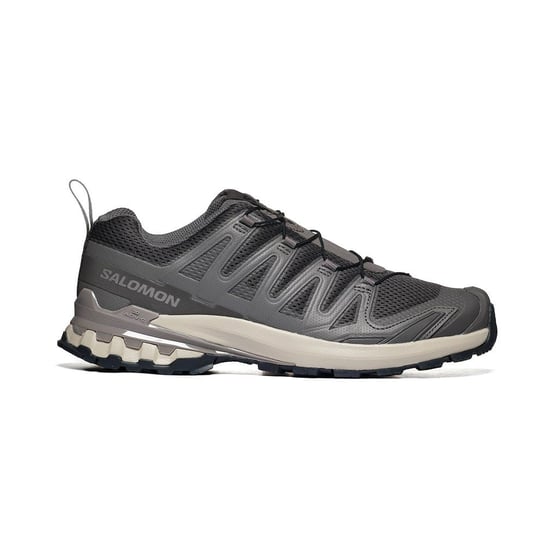 Pro 3D V9 Salomon