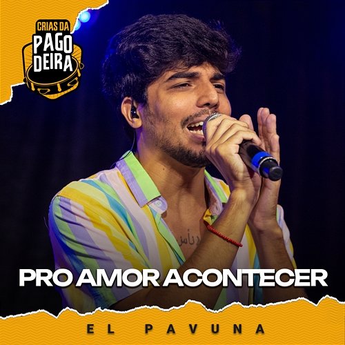 Pro Amor Acontecer Pagodeira feat. EL PAVUNA