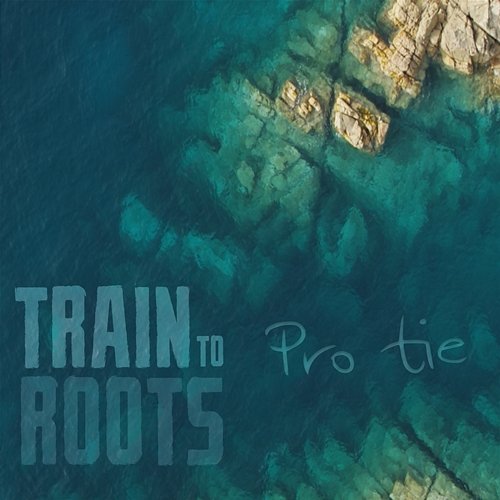 Pro Tie Train to Roots