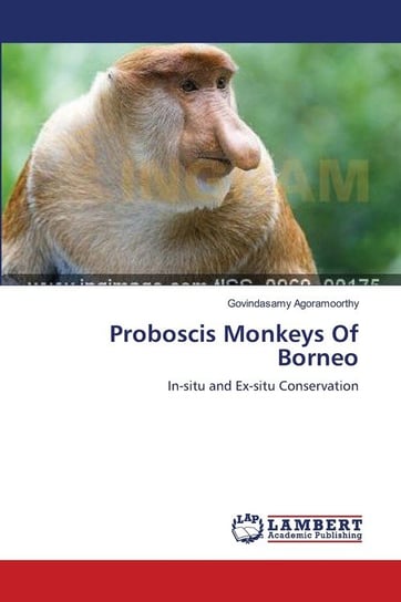 Proboscis Monkeys Of Borneo Agoramoorthy Govindasamy