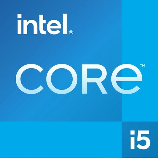 Procesor Intel i5 13400F 10 x 4,6 GHz wersja TRAY/OEM Intel