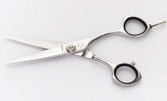 Prof. Hair Scissors 5,5'' Ergonomix Line ICE