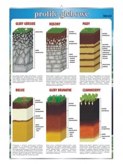 Profile glebowe nauka o ziemi plansza plakat VISUAL System